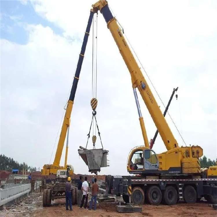 蒲江小型吊机出租电话|厂房设备吊装方案|24小时服务覆盖